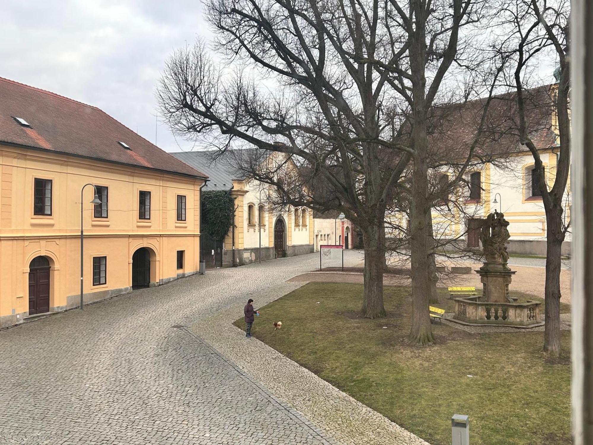 Restaurace A Penzion Podloubi Opočno Exteriér fotografie